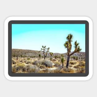 Joshua Tree National Park Sticker